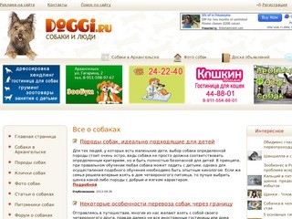 DOGGI.RU - все о собаках и людях. Сайт владельцев собак Архангельска, Северодвинска и Новодвинска