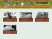 Кролики мясных пород в Климовске