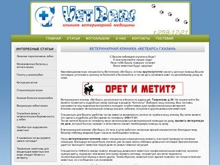 Ветеринарная клиника "ВетБарс", Казань, Гаврилова 30, т.259-17-21