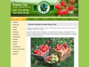 Корец-Сад: плодово-ягодный питомник = саженцы яблони малины клубники доставка