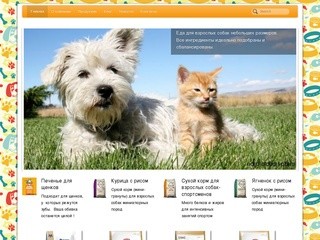 Корма для собак и кошек в Санкт-Петербурге