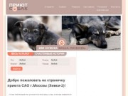 САО, Химки-2 | Приют собак
