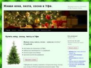 Купить елку, пихту, сосну в Уфе | Доставка новогодних елок