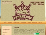 Продажа закусок к пиву | Снэки оптом и в розницу - ООО БИРСНЭК г. Новосибирск