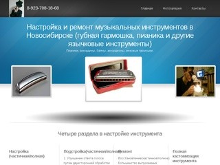 Настройка и ремонт губной гармошки и др. язычковых инструментов в Новосибирске
