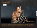 Bengal Light: Омский питомник бенгальских кошек премиум класса!