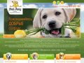 «Дай лапу!» помощь бездомным животным, ОД Сургут - Site