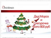 Заказать Деда Мороза и Снегурочку в Нижнем Новгороде