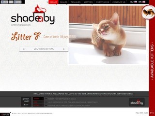 Питомник абиссинских кошек "SHADEABY"
