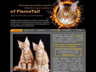 Питомник мейн кун of FlameTail | Котята мейн кун