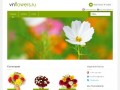 Vnflowers.ru - Магазин роз, дешевые цветы, доставка цветов по Великому Новгороду