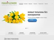 MaxiFlower - свежие цветы из Новосибирска | MaxiFlower - свежие цветы из Новосибирска