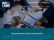 Продвижение сайтов в Воронеже. Создание сайтов - MitLabs