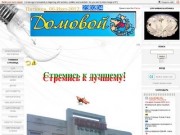 "ДОМОВОЙ" - сеть магазинов электроинструмента (Вельск, Шенкурск)