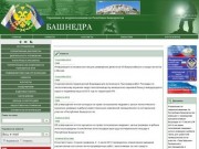 Управления по недропользованию по Республике Башкортостан (Башнедра)