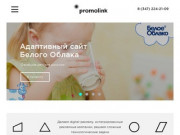 Digital-агентство promolink | связь между людьми и брендами