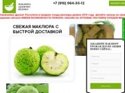 Маклюра/Адамово Яблоко-плоды настойка паста купить в Москве