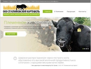 Племенное, мясное, молочное животноводство, растениеводство - ООО СП "Климовский картофель"