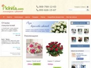 Pionita.com — доставка цветов Кривой Рог