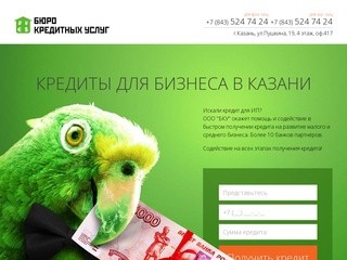 Кредиты для бизнеса, помощь в получении кредита для юридических лиц. Кредит для ИП, ООО в Казани