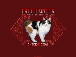 Курильские бобтейлы - кошки и котята. Питомник Free Hunter, г. Москва