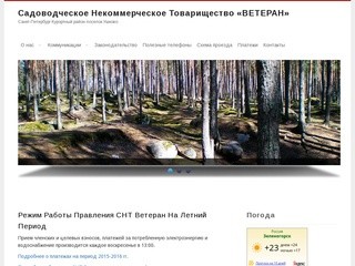 Садоводческое некоммерческое товарищество «ВЕТЕРАН» | Санкт-Петербург Курортный район поселок Ушково