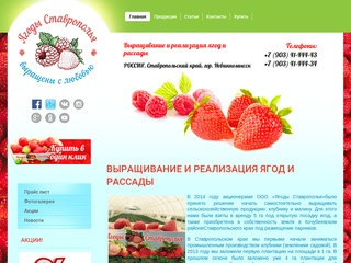 Выращивание и реализация ягод и рассады Ягоды Ставрополья г. Невинномысск