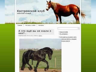 Костромской клуб