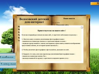 Сайт Волосовского детского дома-интерната