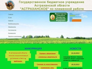 ГБУ АО "Астраханское" по племенной работе