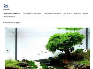Установка и обслуживание аквариумов в Екатеринбурге