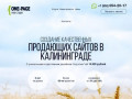 Создание продающих сайтов (landing page или одностраничников) в Калининграде