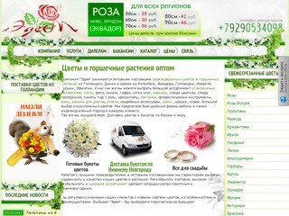 Цветы оптом Нижний Новгород горшечные растения оптом упаковка розы тюльпаны мимозы поставки цветов