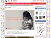 "Pu-Ji CAT" | Купить британского, шотландского котенка в Москве.
