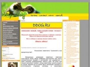 DDOG.ru - собаки, щенки и все что с ними связано