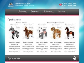 Купить поницикл в Спб, понициклы оптом, цена, PONYCYCLE в Санкт-Петербурге