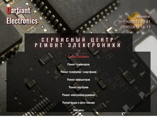 Gartiant Electronics — ремонт бытовой и цифровой техники в Челябинске