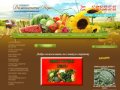 Купить средства защиты растений Семена овощных культур г. Волгоград ООО Доминанта-Агро