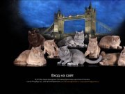 Питомник британских кошек Vesma'S Karalius
