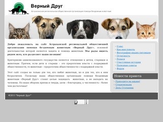 Помощь бездомным животным в Астрахани - Верный друг