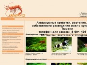 Аквариумные креветки и расттения в  Тюмени