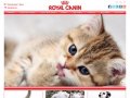 Интернет-магазин официального дилера компании «Royal-Canin» ООО «Маркет плюс» в Саратове