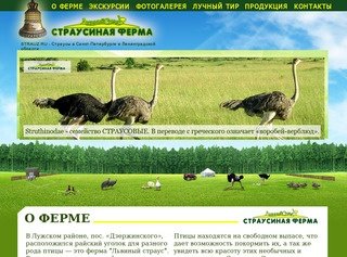 Страусиная ферма 