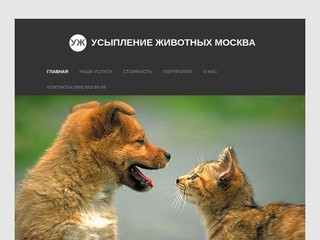 Усыпление животных Москва