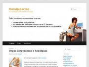 МегаДиректор | Блог руководителя IT компании в Ижевске