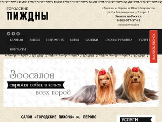 Салон Городские Пижоны — стрижка собак и кошек в Москве в Перово недорого
