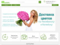 Сайт по доставке цветов в Челябинске и Копейске. Интернет магазин цветов (Россия, Челябинская область, Челябинск)