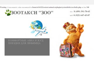 Зоотакси в Москве и по миру с выгодой до 20% недорого - zootaxi-zoo