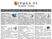 Интернет Студия Buryka.ru : Разработка и создание сайтов. Заказ сайта он лайн. Санкт-Петербург.