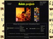 Bulat Project: Музыкант на живых инструментах и Диджей